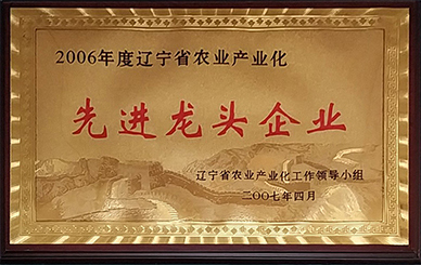 先进龙头企业.jpg